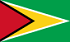 Флаг Гайаны