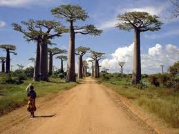 Мадагаскар Мадагаскар