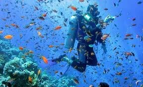 Сейшелы Сейшелы